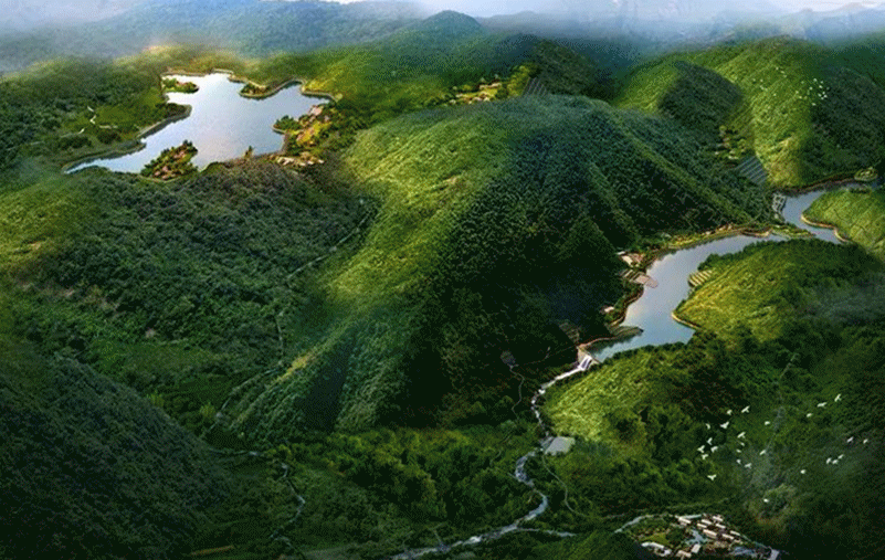 1652945740141418.gif 動圖.gif